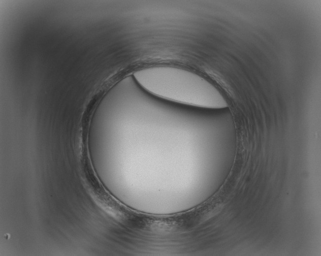 X0000072970494200607211034
