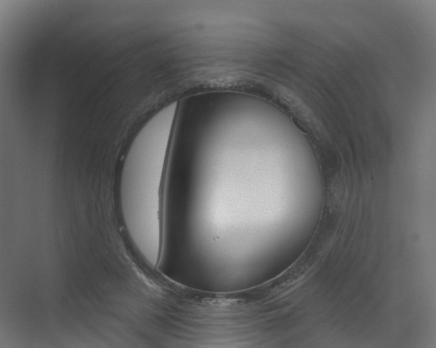 X0000072970497200607211034