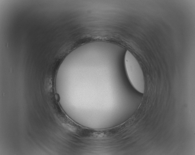 X0000072970502200607211034
