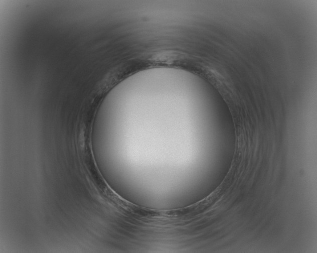 X0000072970504200607211034