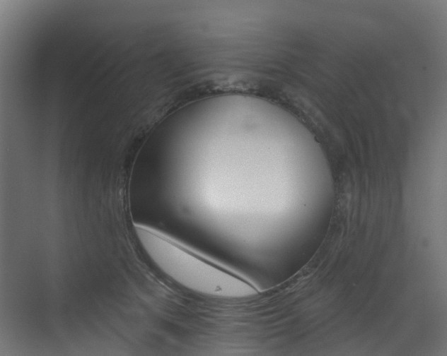 X0000072970513200607211034