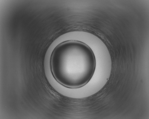 X0000072970521200607211034