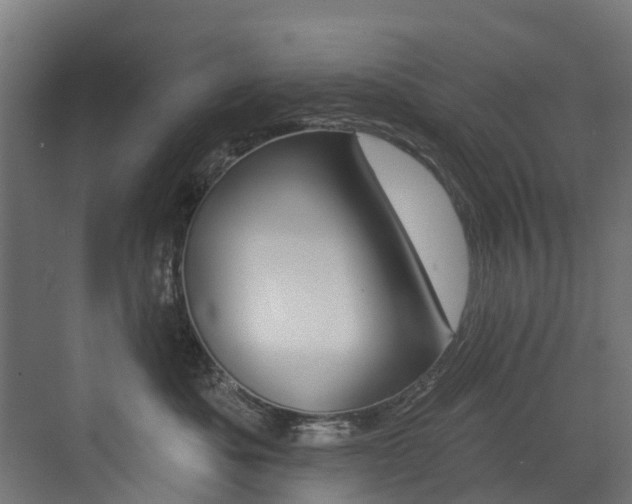 X0000072970525200607211034
