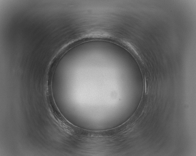 X0000072970531200607211033