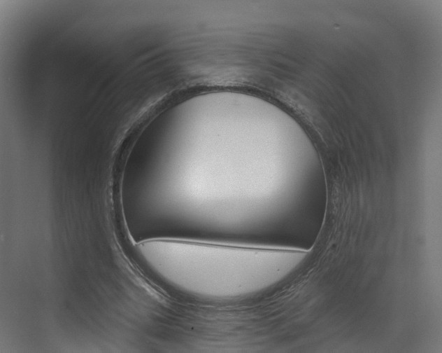 X0000072970535200607211033