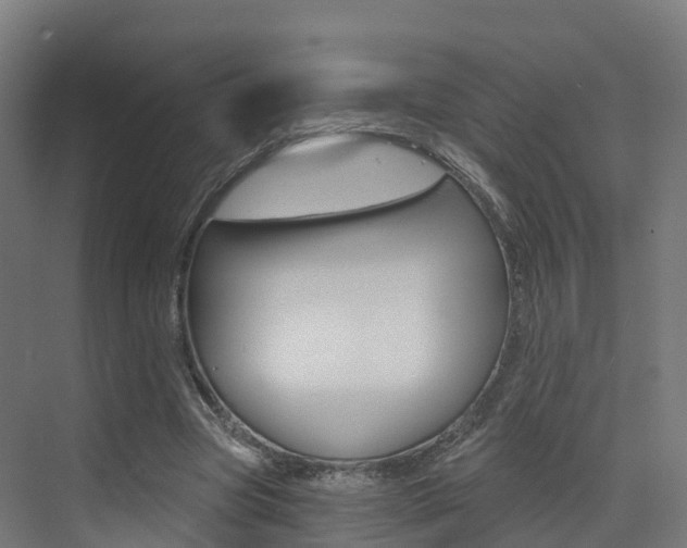 X0000072970537200607211033