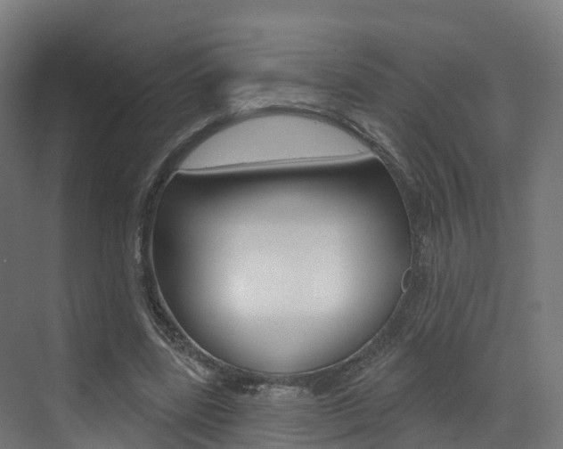 X0000072970539200607211033