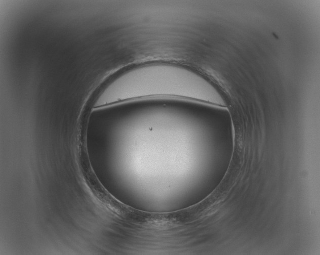 X0000072970540200607211033