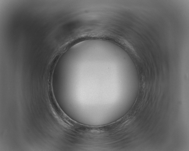 X0000072970542200607211033