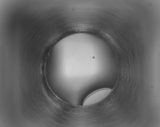 X0000072970543200607211033