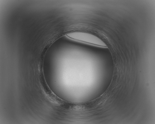 X0000072970546200607211033
