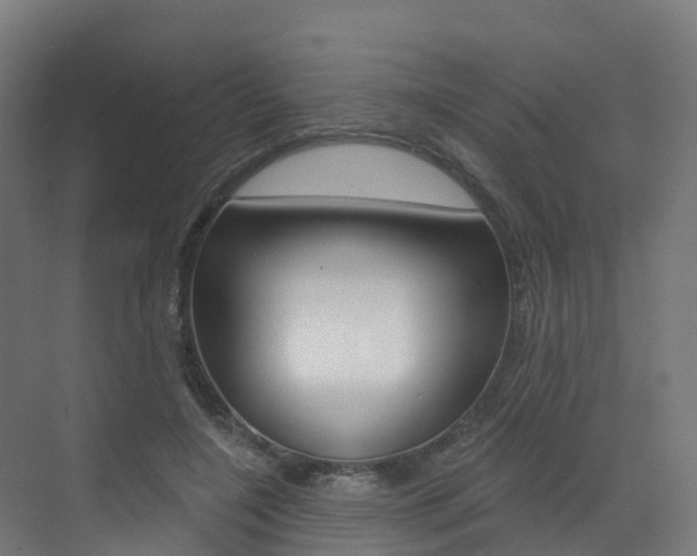 X0000072970548200607211033