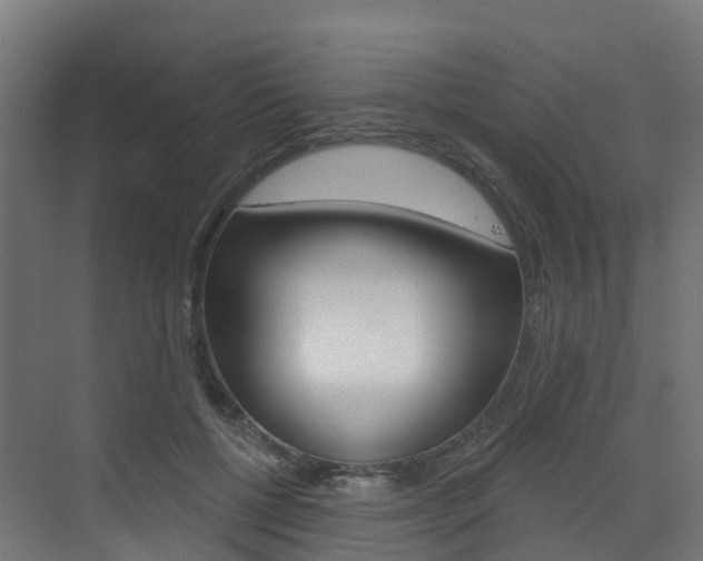 X0000072970552200607211033