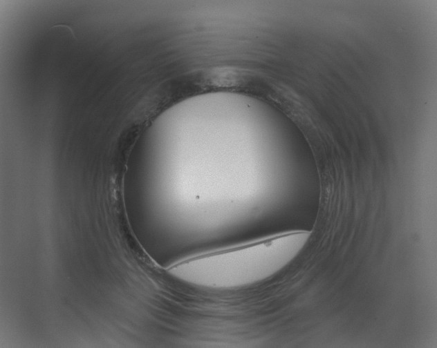 X0000072970555200607211033