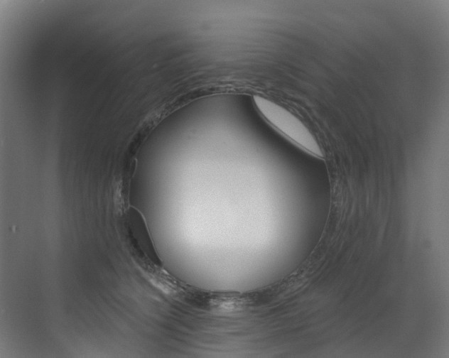 X0000072970564200607211033