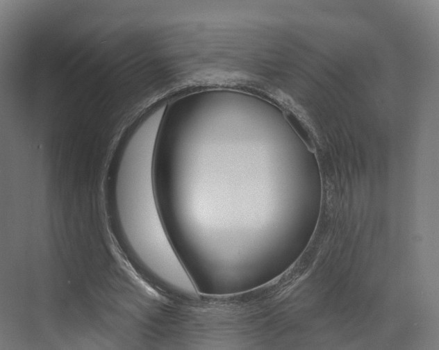 X0000072970581200607211033