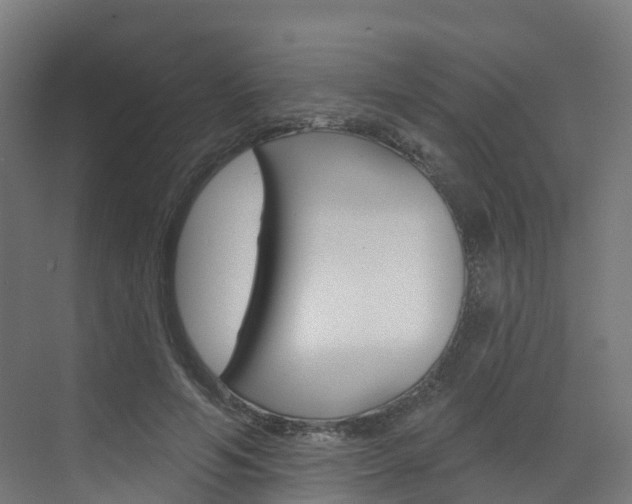 X0000072970594200607211032