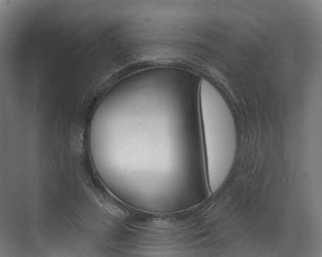 X0000072970596200607211032