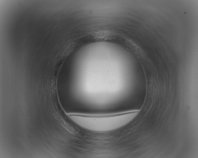 X0000072970601200607211032