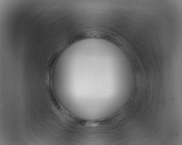 X0000072970602200607211032