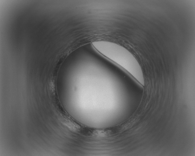 X0000072970613200607211032