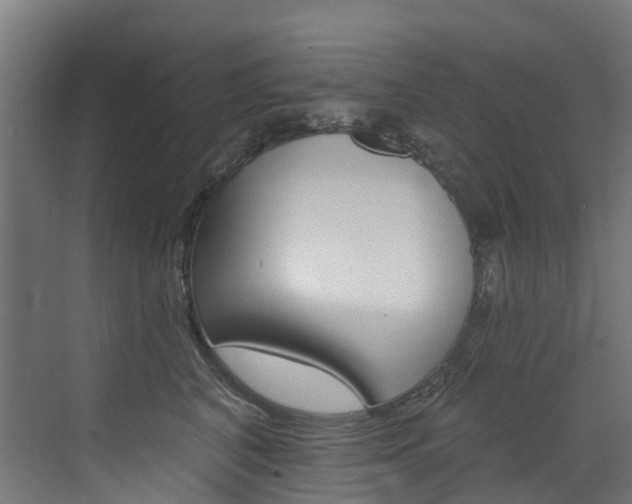 X0000072970616200607211032