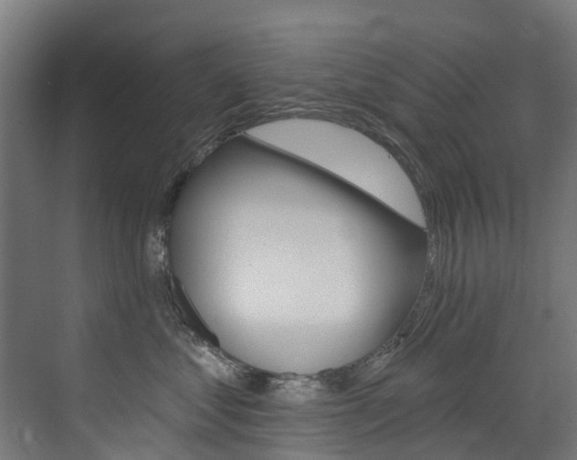 X0000072970621200607211032