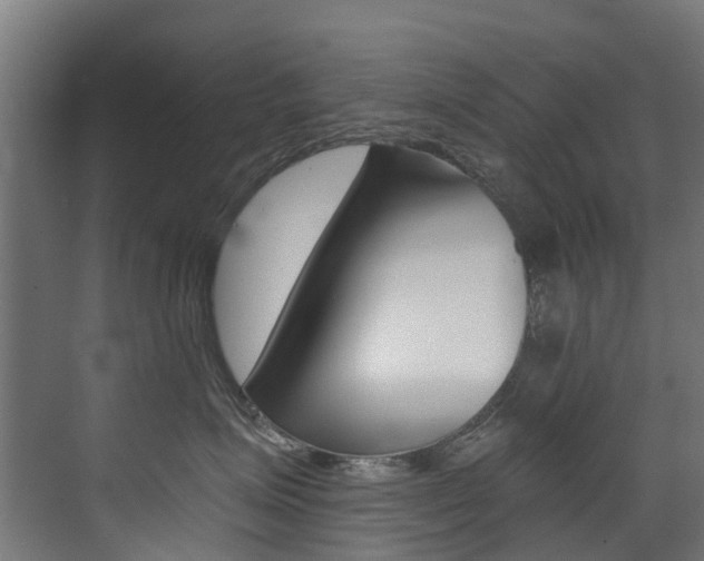X0000072970623200607211032