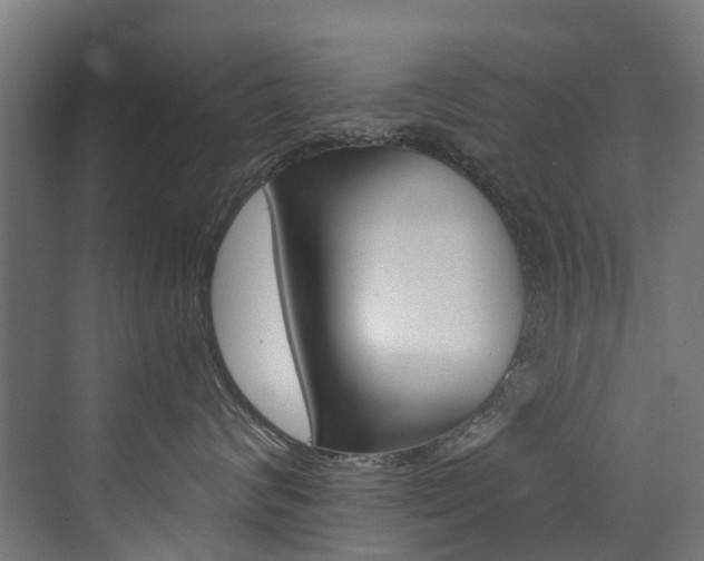 X0000072970624200607211032