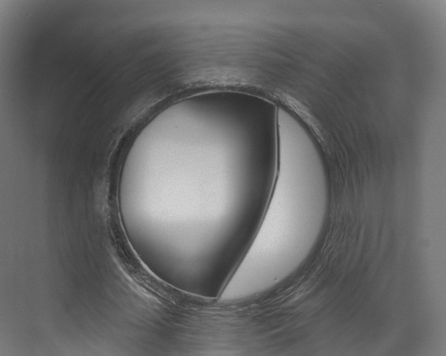 X0000072970627200607211031