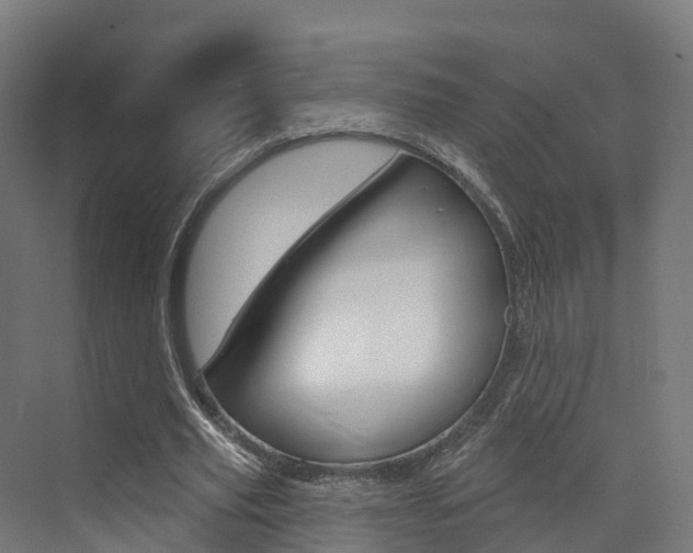 X0000072970629200607211031