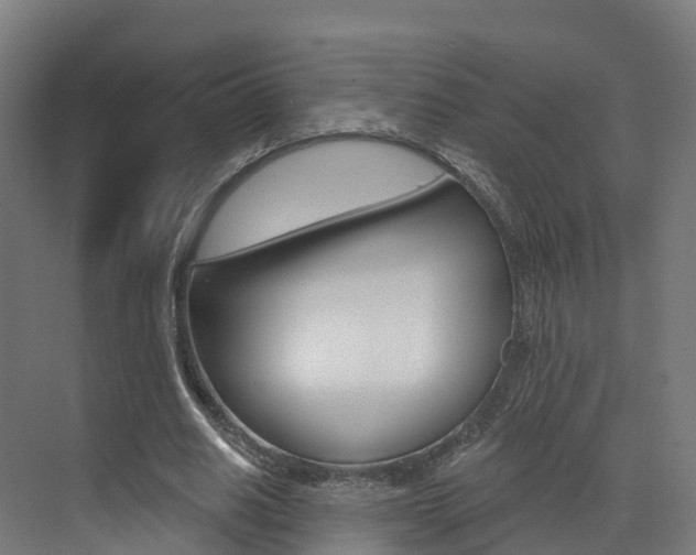 X0000072970630200607211031