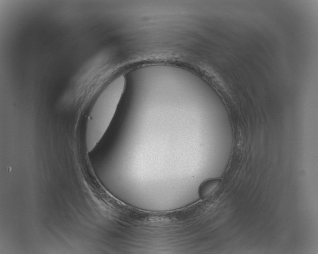 X0000072970636200607211031
