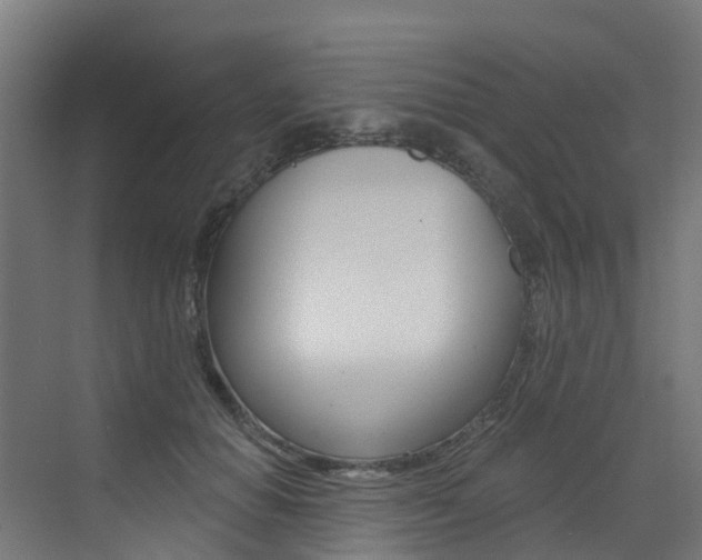 X0000072970654200607211032