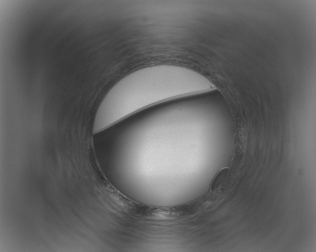 X0000072970657200607211032