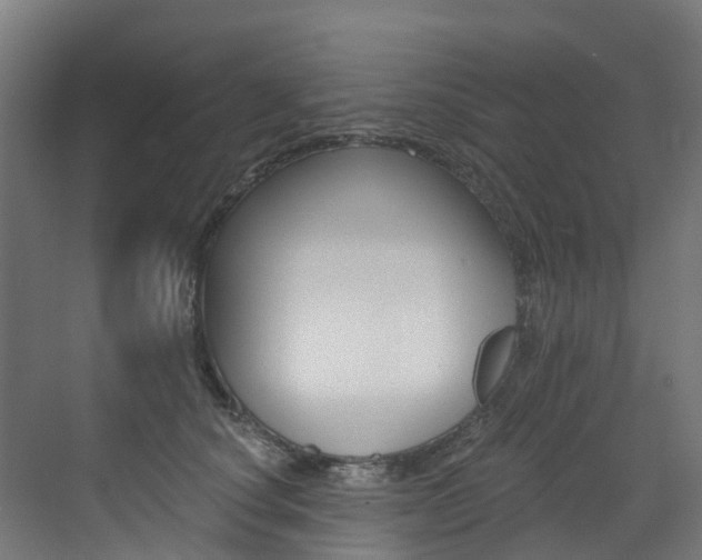 X0000072970660200607211032