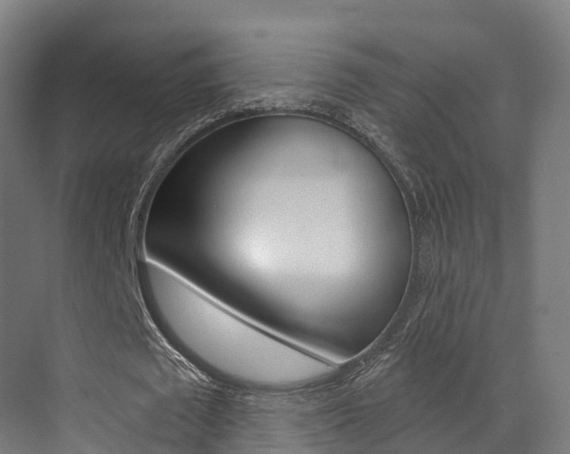 X0000072970673200607211031