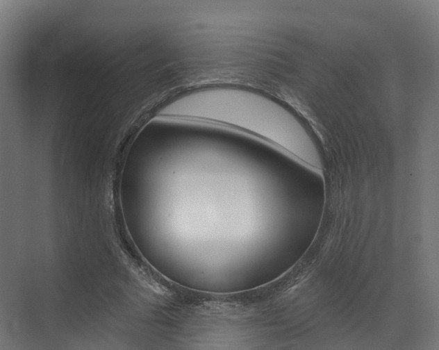 X0000072970681200607211031
