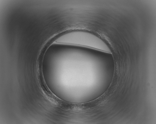 X0000072970684200607211031