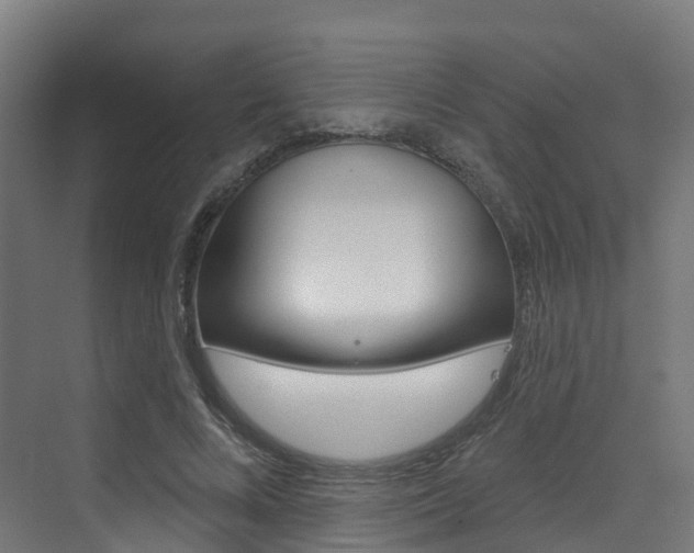 X0000072970688200607211031