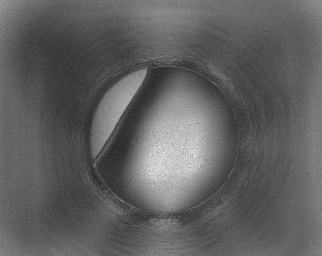 X0000072970689200607211031