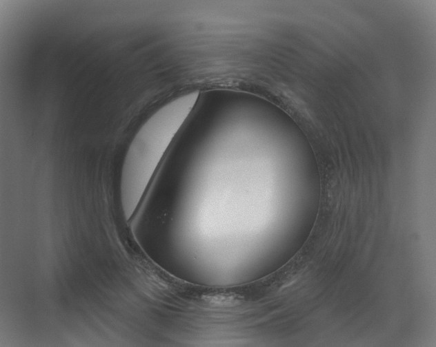 X0000072970693200607211031