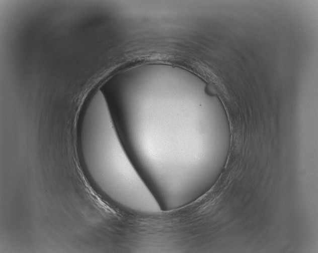 X0000072970721200607211029