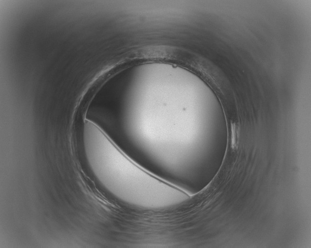X0000072970723200607211030