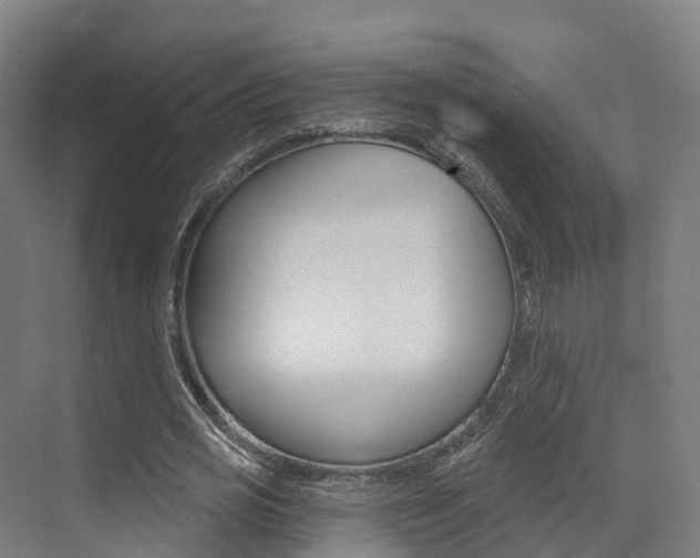 X0000072970725200607211030
