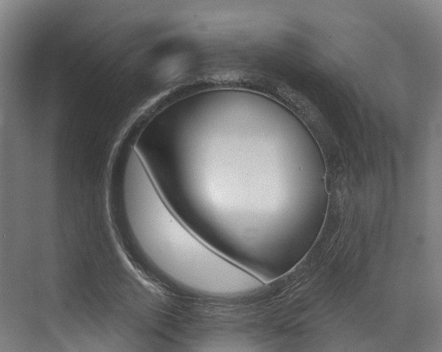 X0000072970728200607211030