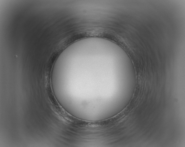 X0000072970741200607211030