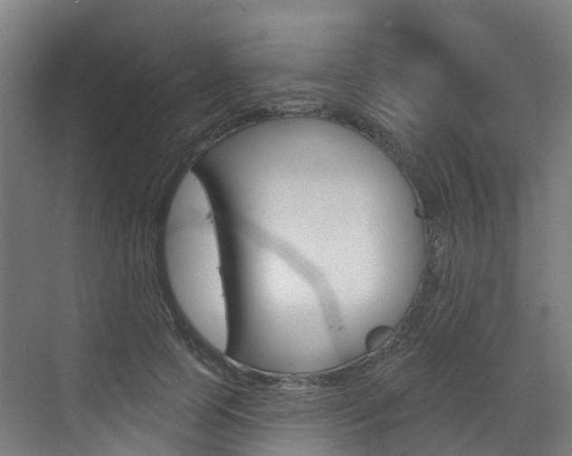 X0000072970745200607211030