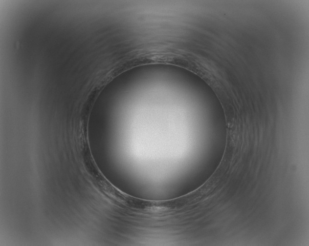 X0000072970748200607211030
