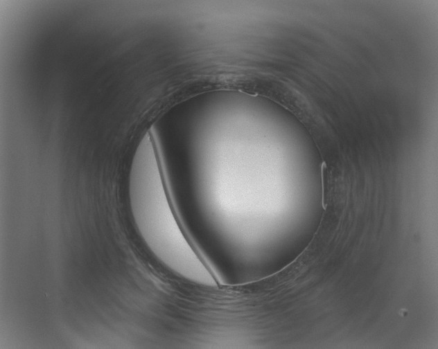 X0000072970750200607211030